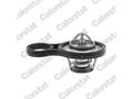 Термостат Chrysler Voyager/PT Cruiser 95-08 1.6-6.1 (91C)