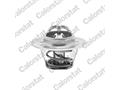 Термостат A4/A5/A6/Seat Leon/Skoda Fabia/VW Polo/Nissan Micra 1.0-2.0 TDI 78- (82C)