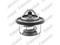 Термостат Suzuki Grand Vitara/Ignis/Jimny/Liana/Swift/SX4 1.3-2.4 98- (82С) з прокладкою