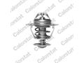 Термостат Hyundai Accent/Elantra/Getz/Santa FE/ Kia Cerato/Sorento/Sportage 1.1-2.9 95- (85C)