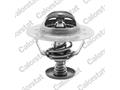 Термостат Lexus GS, LS,CS/Mitiubishi Pajero/Renault Espace IV/Saab 9-5 2.0-4.7i/D 92- (82 C)