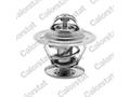 Термостат Audi 80/ VW Bora/Golf/Jette/Passat/Polo/Transporter 1.0-4.2 68-10 (87C) з прокладкою