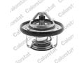 Термостат Renault Megane III/Scenic/Hyundai H-1/KIA Ceed/Rio 1.2/1.4/1.6i 97- (82C)