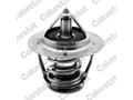 Термостат Hyundai Santa Fe/ Kia Sorento/Sportage/ Nissan Almera/Primera/ Opel Vectra C 2.0-5.0 00- (