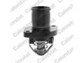 Термостат Berlingo/Scudo/Partner 1.4-1.6i 2.0i 00- (89C)