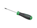 Викрутка TORX T10